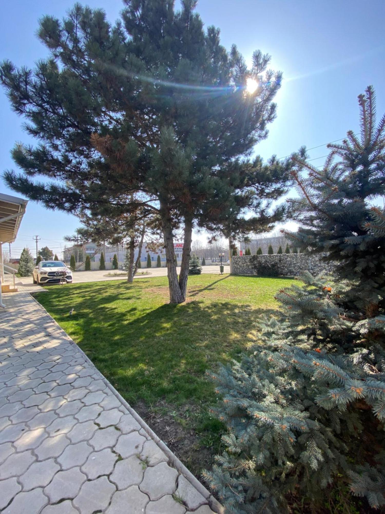 Hotel Terra Iasi Valea Lupului  Exterior photo